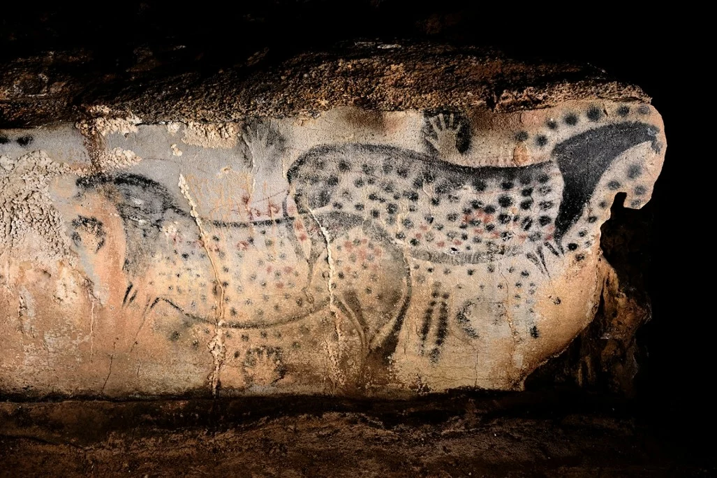 Visite Grotte du Pech Merle - Lot