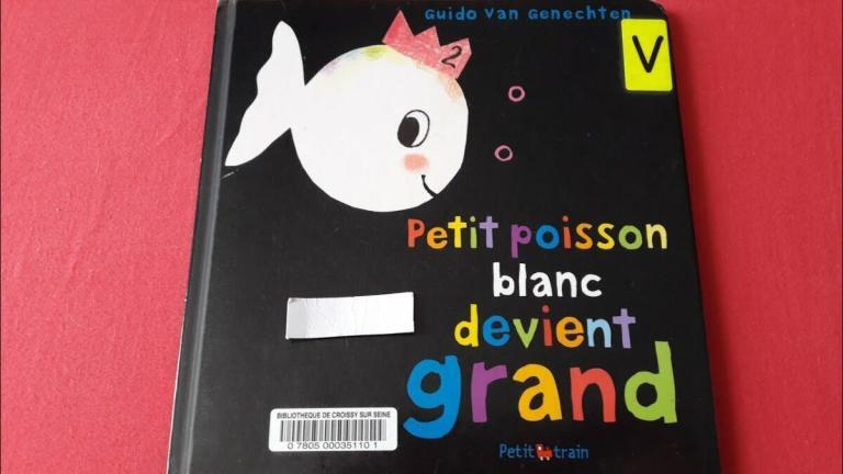 Petit Poisson Blanc devient grand