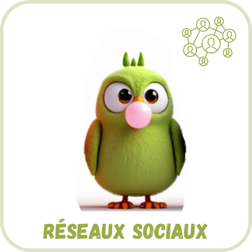 Réseaux Sociaux