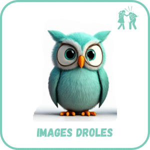 Images drôles et humoristiques