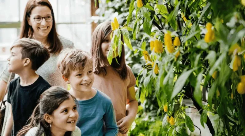 Sorties scolaires : tout ce que vous devez savoir
