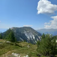 Mapi
