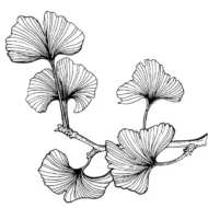 Cecilix